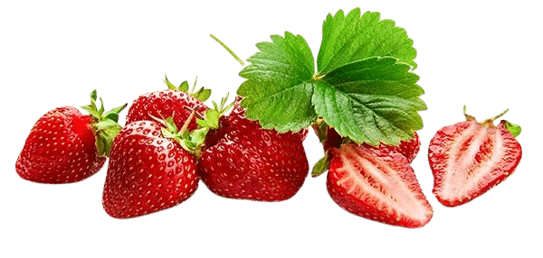 Erdbeeren