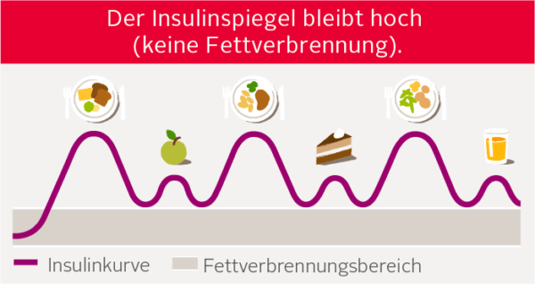 Das Drei-Mahlzeiten-Prinzip